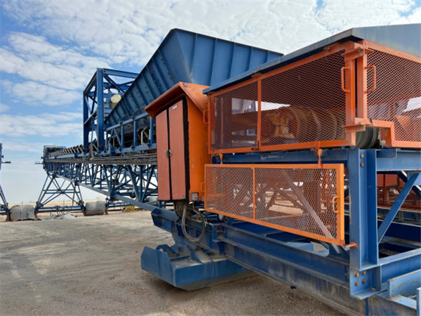 34 Units - Senet 1350mm (54") W X 38m (125') L Grasshopper Conveyors)